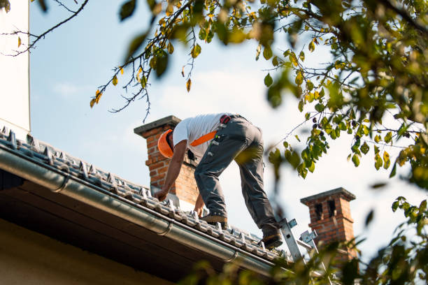 Best Commercial Roof Installation  in Wallace, FL