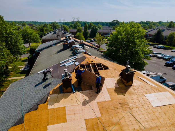 Best Commercial Roofing Services  in Wallace, FL