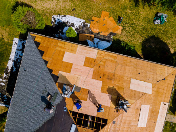 Best New Roof Installation  in Wallace, FL