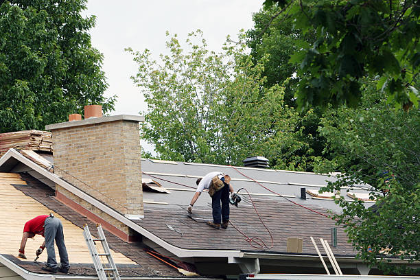 Best Roof Gutter Cleaning  in Wallace, FL