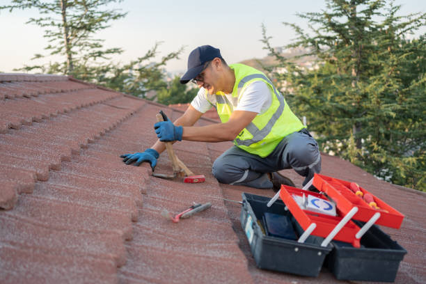 Best Roof Repair Services  in Wallace, FL